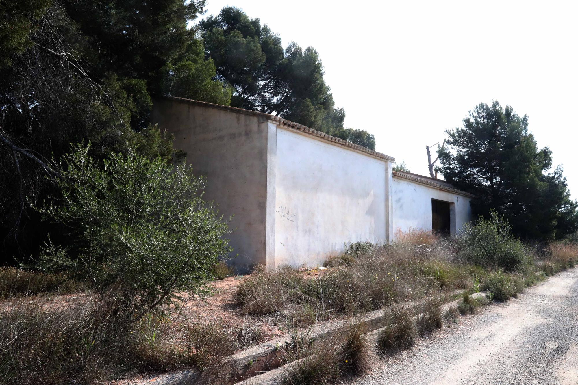 El cementerio abandonado de Moncada que te recordará a las películas de zombies