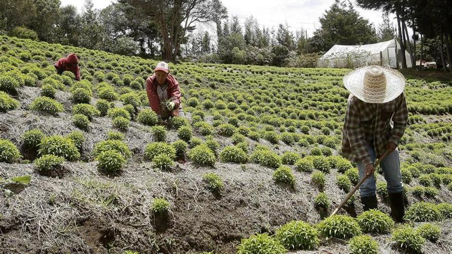 El 46% de los asesinatos de líderes sociales en el mundo en 2022 se cometió en Colombia