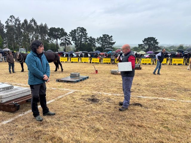 EN IMÁGENES: El domingo de San Isidro en Llanera