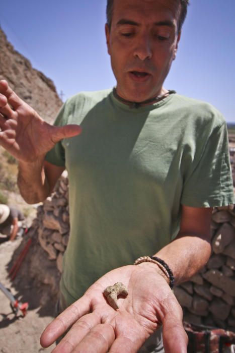 Arqueología en Callosa de Segura