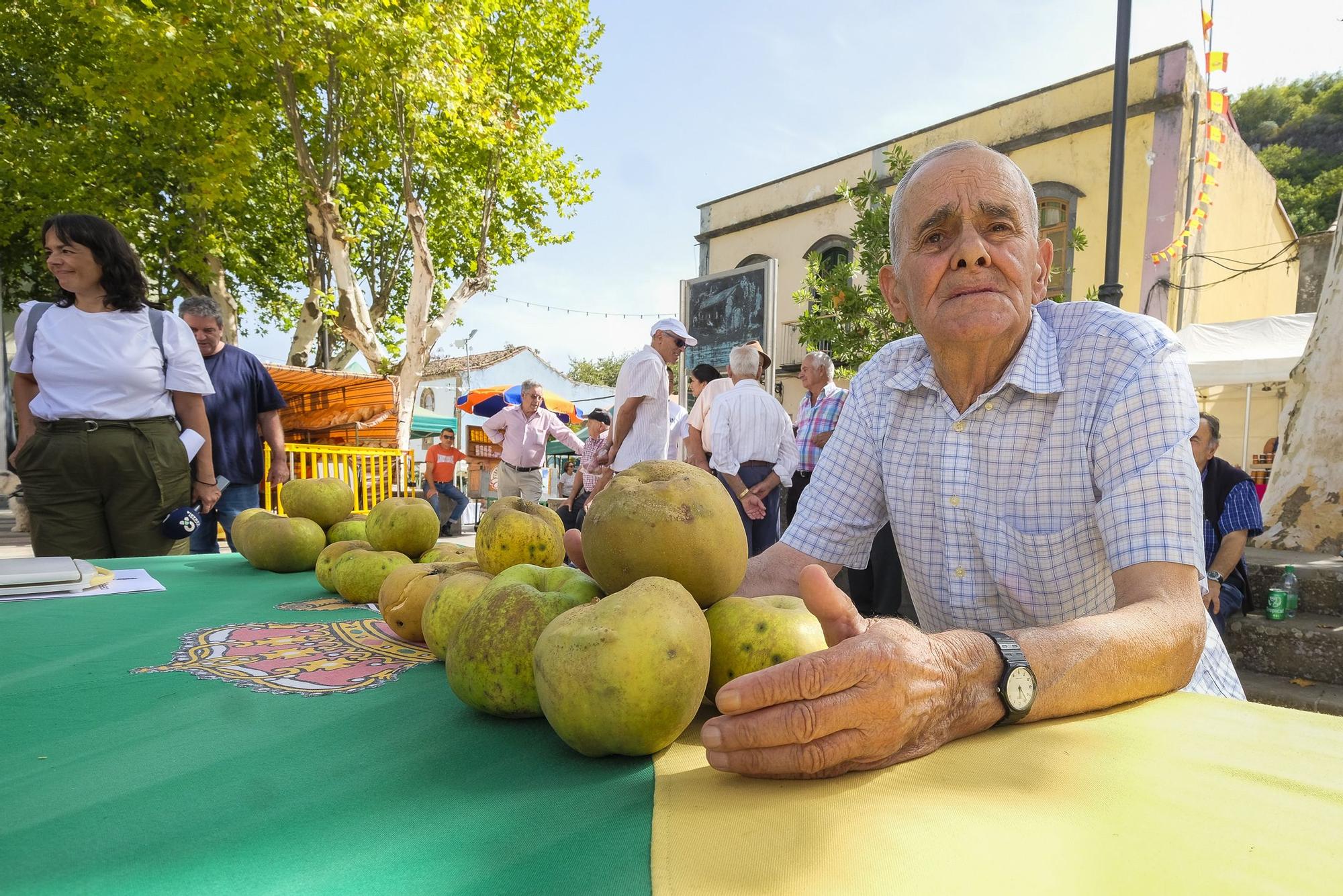 Fiesta de la manzana en Valleseco