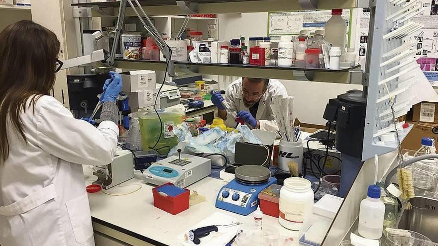 Investigadores del laboratorio de Oncología del Hospital de Santiago.