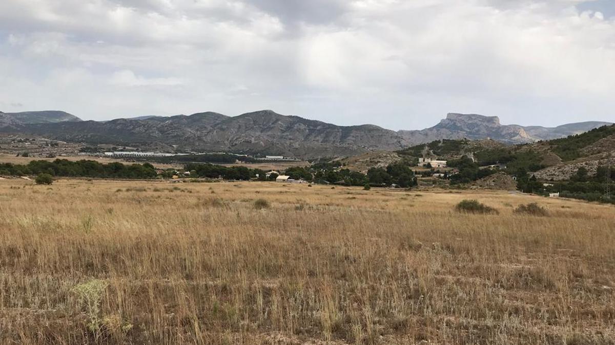 Terrenos donde se instalará la primera planta solar de Elda.