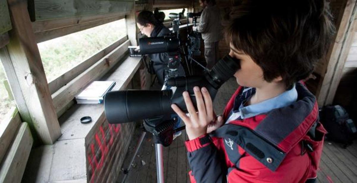 Un niño observa por un prismático aves en Zeluán.