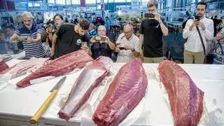 El mejor tartar de atún rojo del Mediterráneo se prepara en Alicante