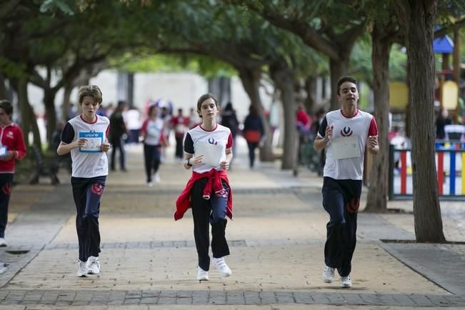 COLEGIO ARENAS