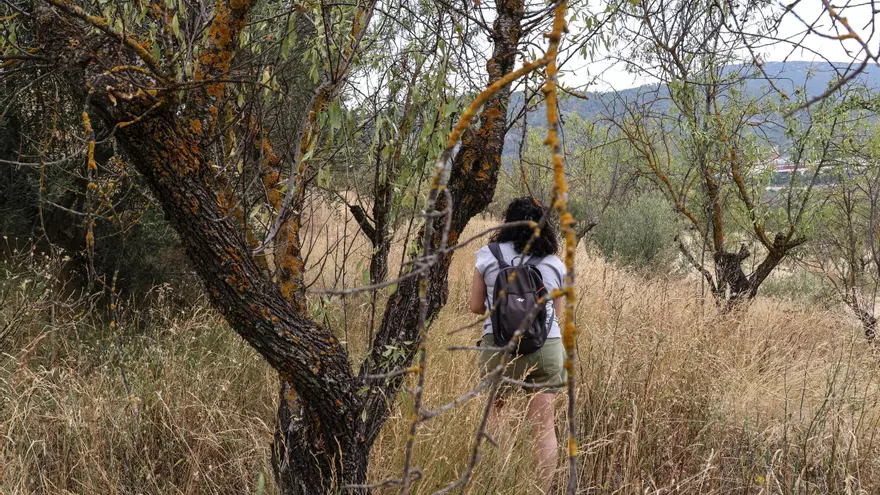 El abandono del mundo rural alimenta el riesgo de incendios