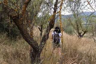 El abandono del mundo rural alimenta el riesgo de incendios