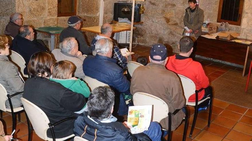 Charla contra la velutina, ayer en San Martiño. // Gonzalo Núñez