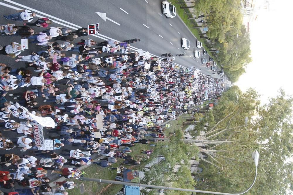 Manifestación contra el muro de Murcia en Madrid