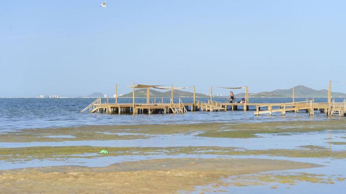 Algas acumuladas en la costa de Los Urrutias, Cartagena, en una fotografía tomada en 2022.