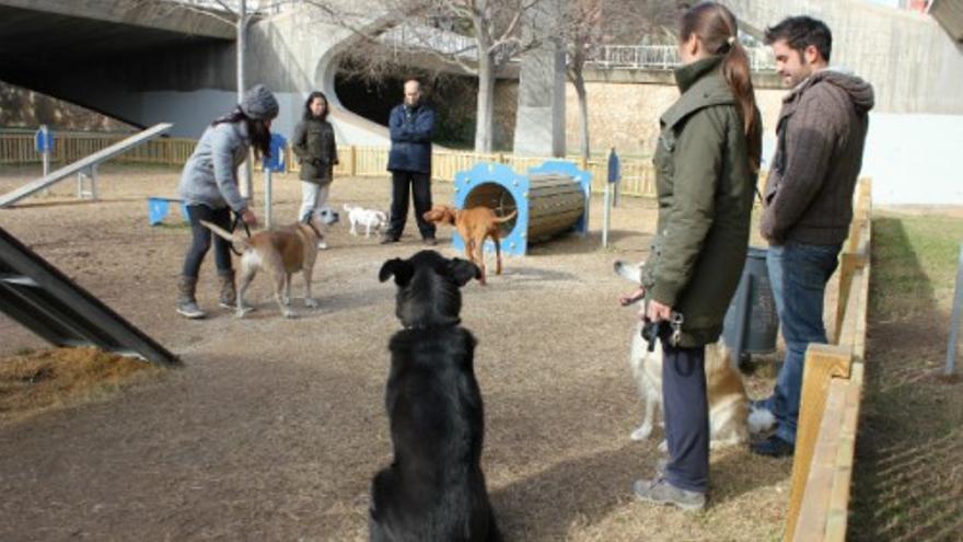 Así es el circuito deportivo para perros en Valencia