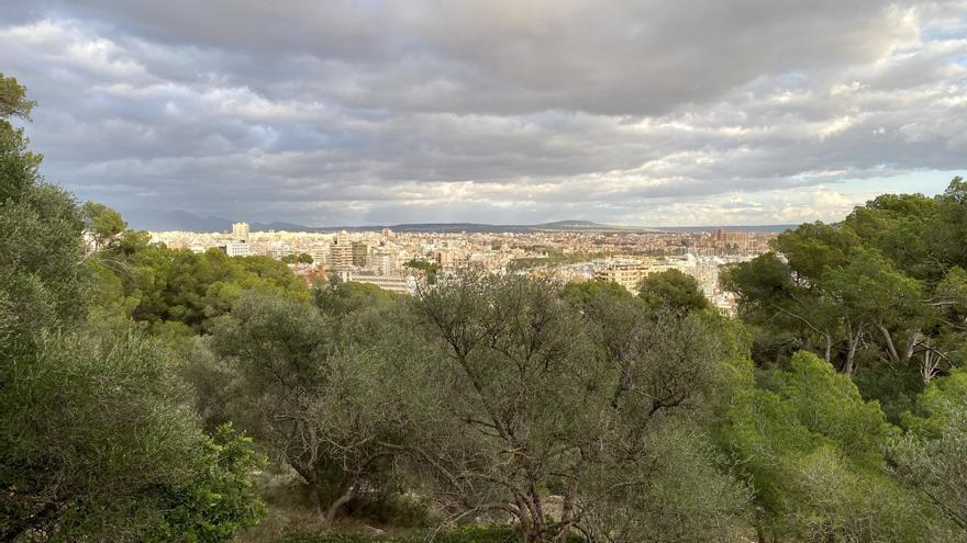 Von 24 Grad bis Temperatursturz: So abwechslungsreich wird die Wetterwoche auf Mallorca