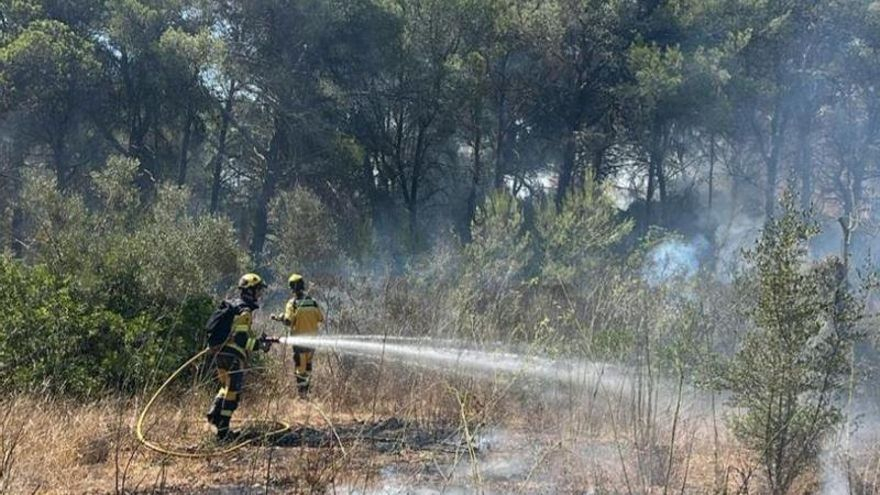 Cinco horas para acabar con un incendio forestal en Sant Miquel con un intoxicado por humo