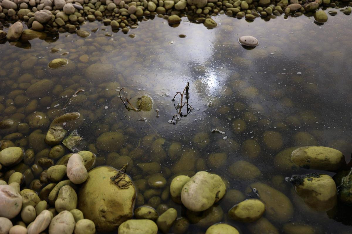 Estado de las aguas del Torrent des Cirer, este miércoles.