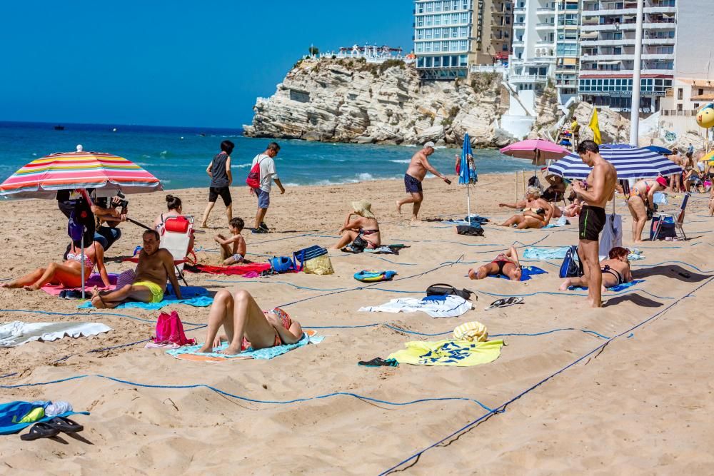 Quejas de usuarios en la apertura de las playas parceladas en Benidorm