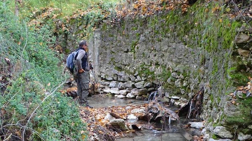 Nacimiento de Zambra