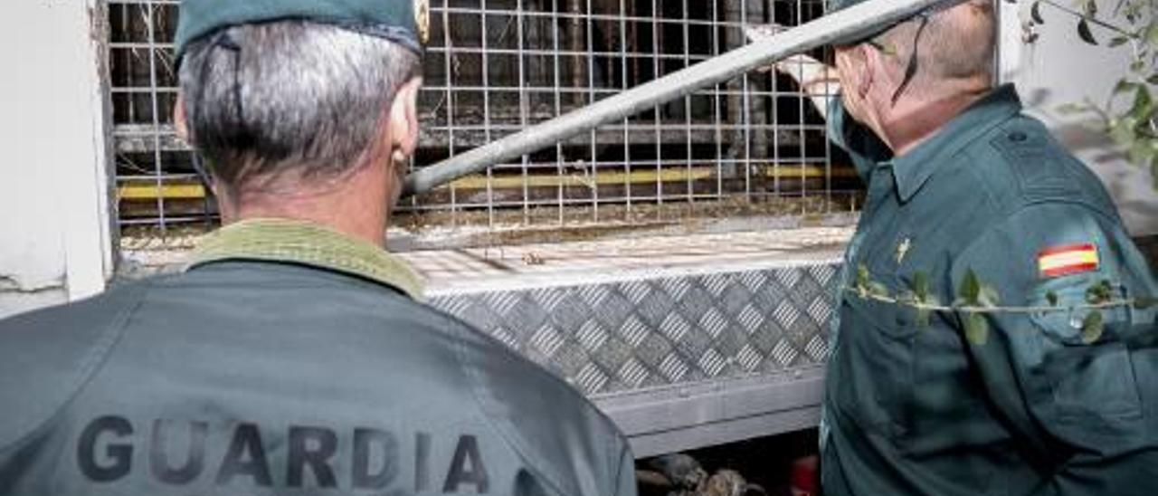 Dos agentes del Seprona inspeccionan el remolque donde está enjaulado el oso, ayer.