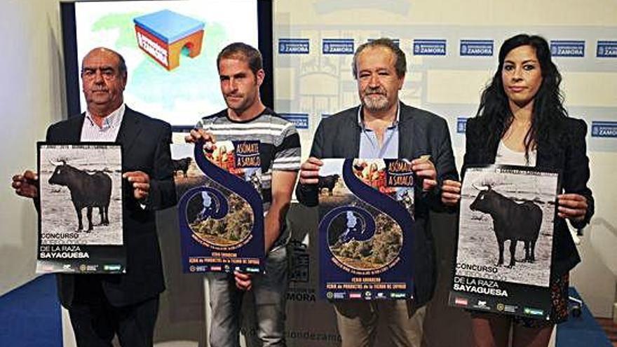 Por la izquierda José María Nieto, Antonio Vázquez, Raúl Rodríguez y Julia García, ayer en la Diputación