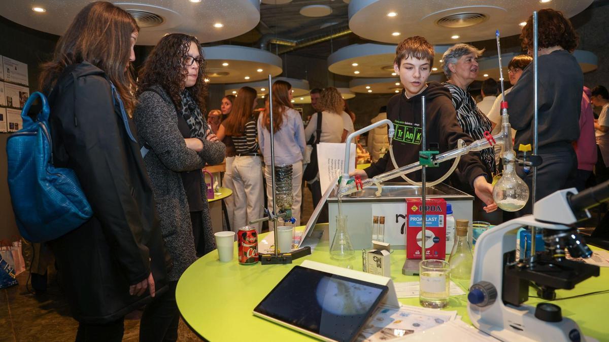 La Domus acogió la feria Imaxina