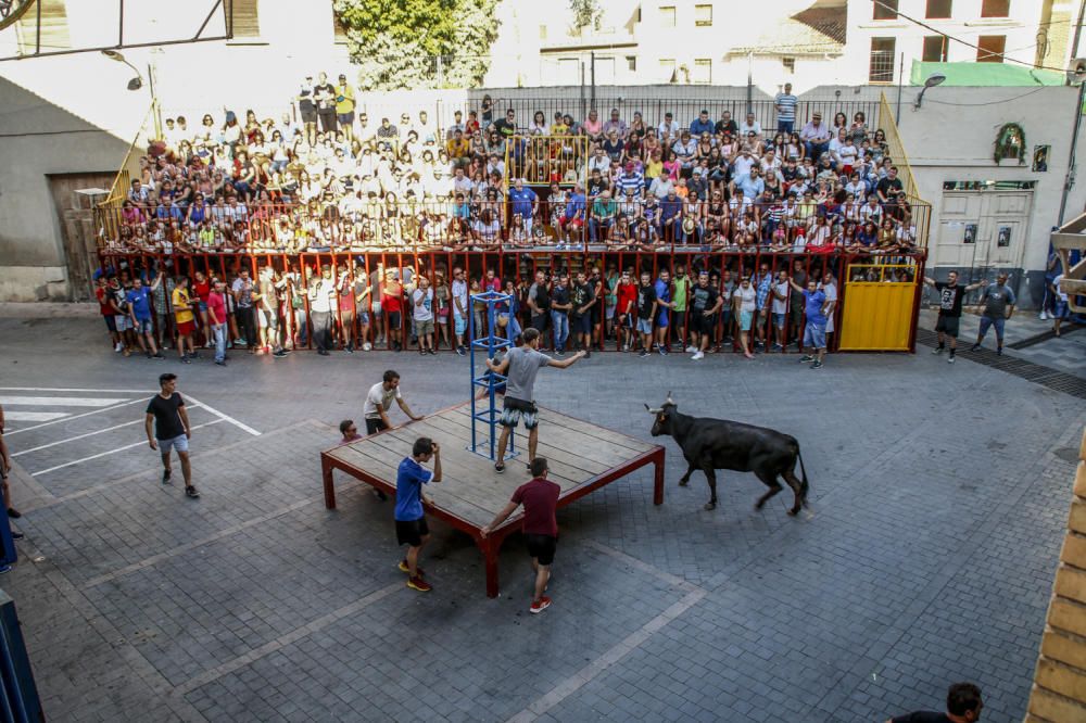 Fiestas de la Vaca de Castalla.