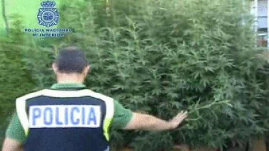 'El Portu', arrestado en su domicilio de Jaén