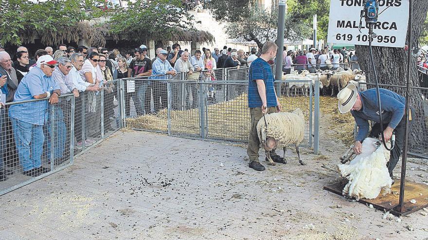 Costumari popular | Maig calent i humit, fa el pagès ric