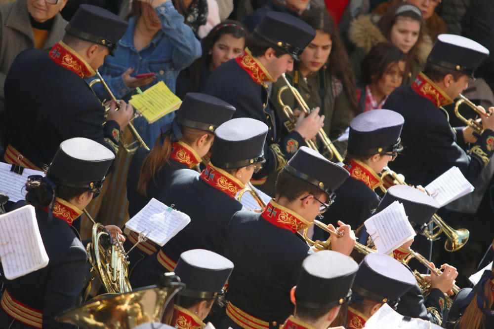 Domingo de Ramos | Salutación