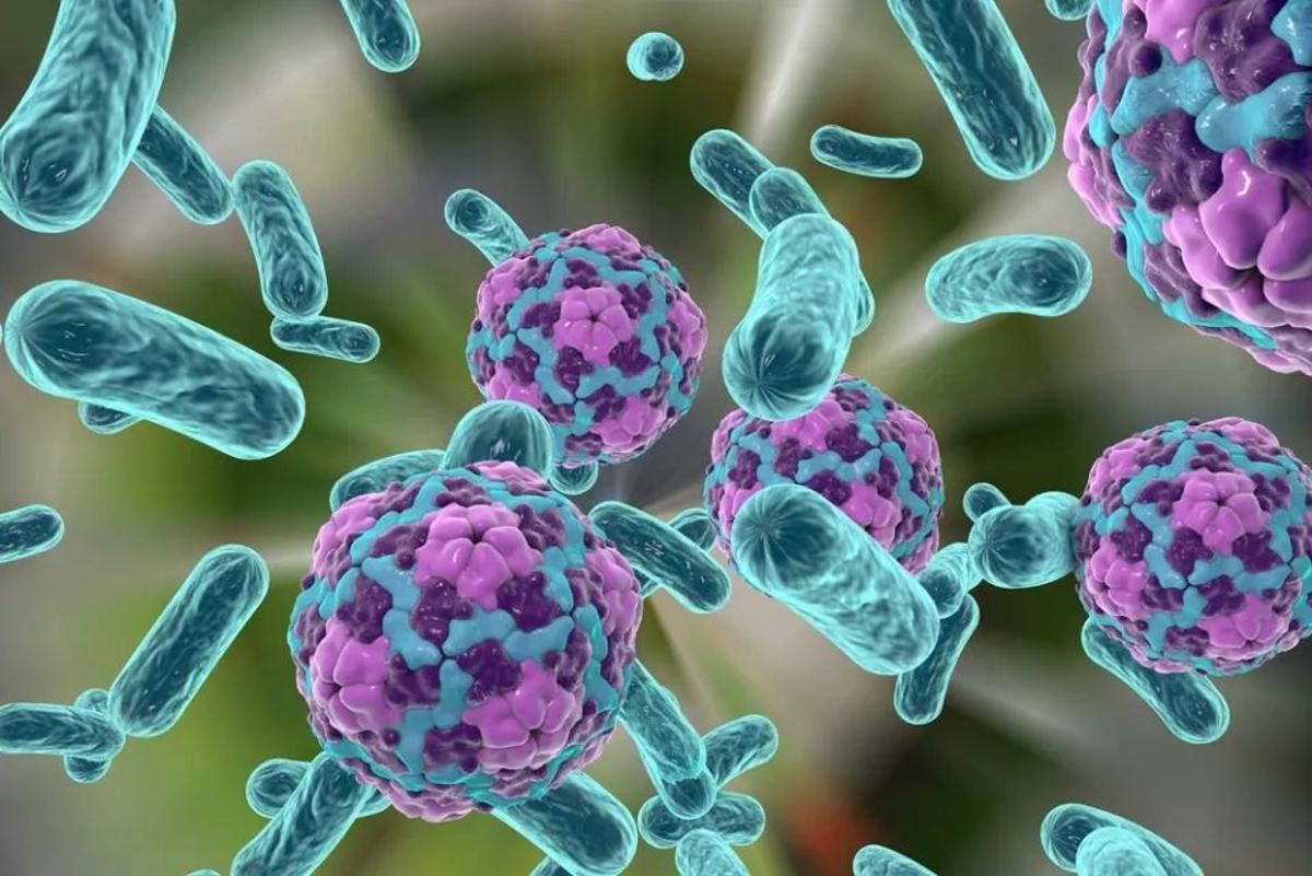Los entornos secos se convierten en reservorios de genes resistentes