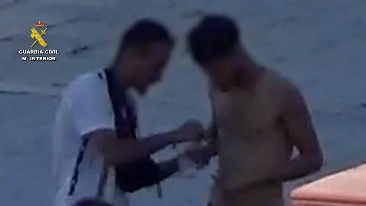 VÍDEO | Una organización criminal dedicada al tráfico de drogas estaba integrada por jóvenes de 16 a 25 años