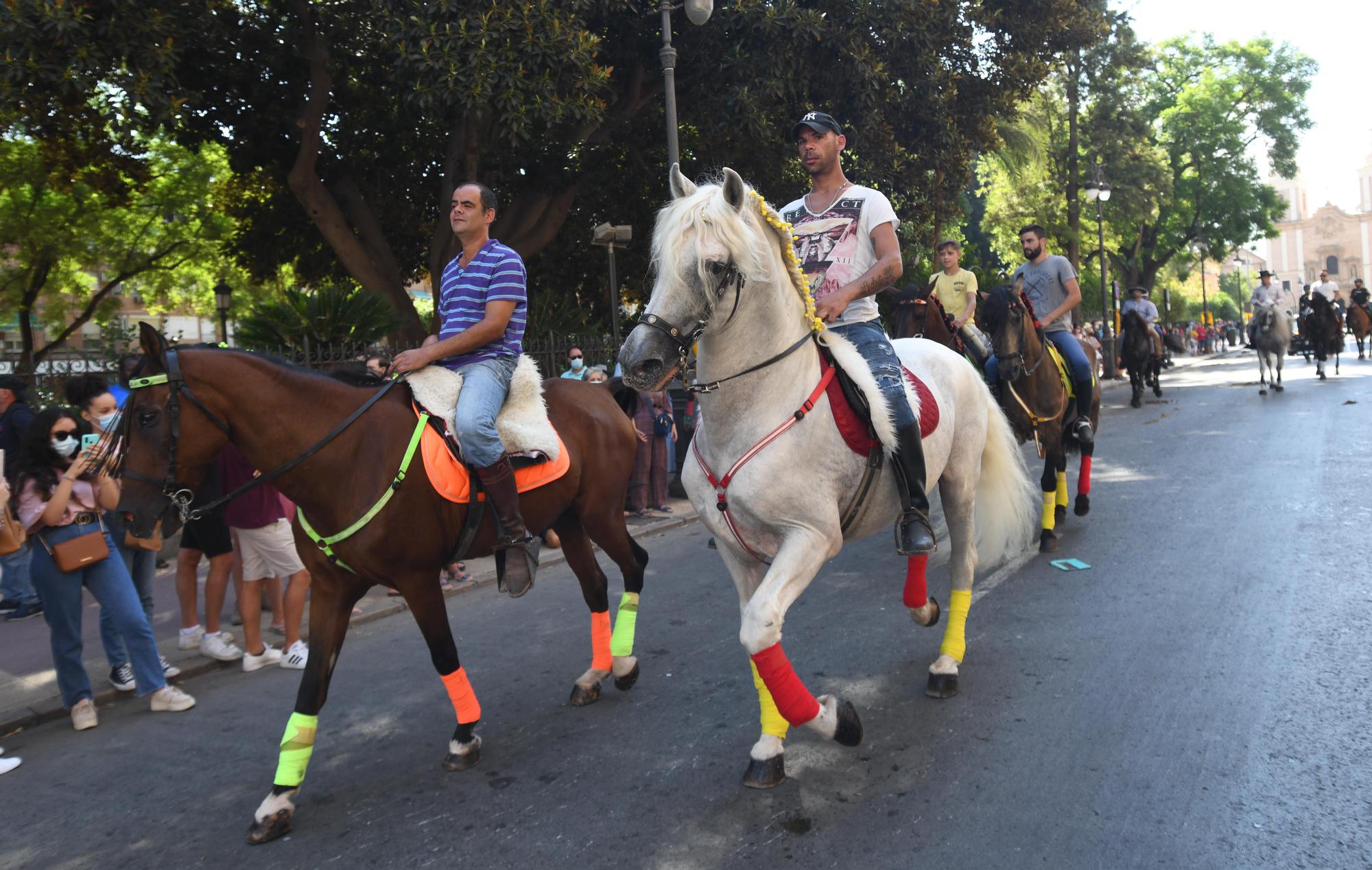 Paseo-desfile de carruajes y caballos en Murcia