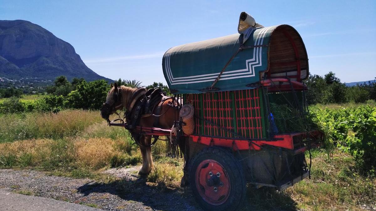 En carro a podar las viñas de Jesús Pobre