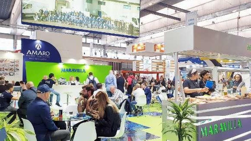 Maravilla suma dos nuevas naves en el puerto de Vigo y amplía plantilla en un 23%