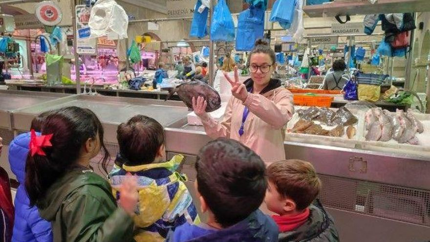 Visita al Mercado de Abastos