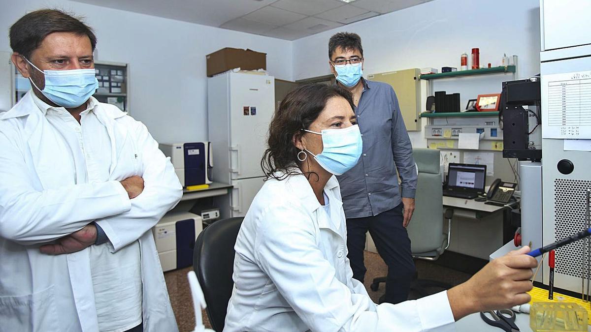 Uno de los grupos de investigación del Instituto de Neurociencias de la Miguel Hernández.