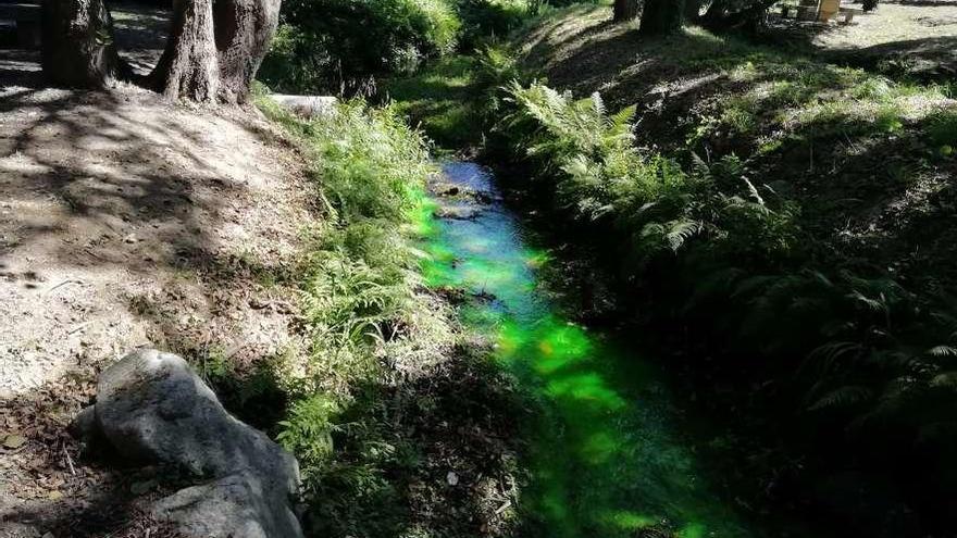 Vertido en el río de O Con, a la altura del parque de A Coca. // Noé Parga