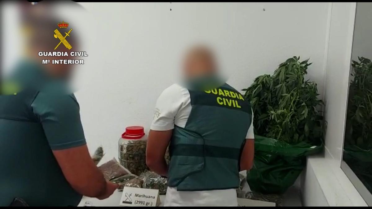 La Guardia Civil interviene la droga localizada en el cuarto de aperos en Fuerteventura.