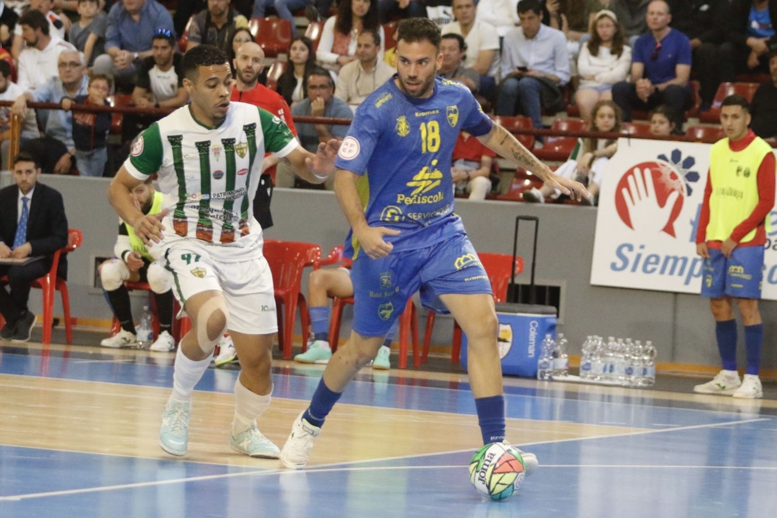 Córdoba Futsal-Peñiscola: el partído de Vista Alegre en imágenes
