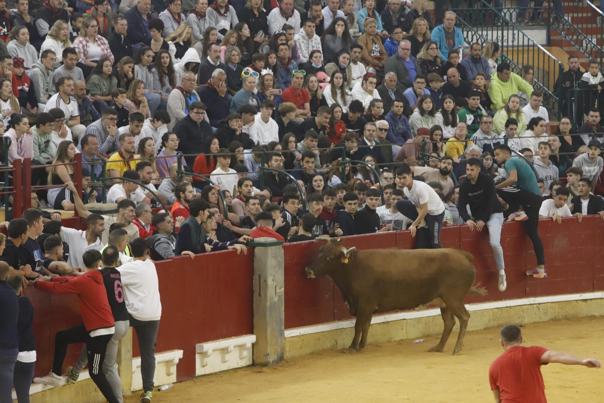 Búscate en la vaquillas del miércoles 12 de octubre