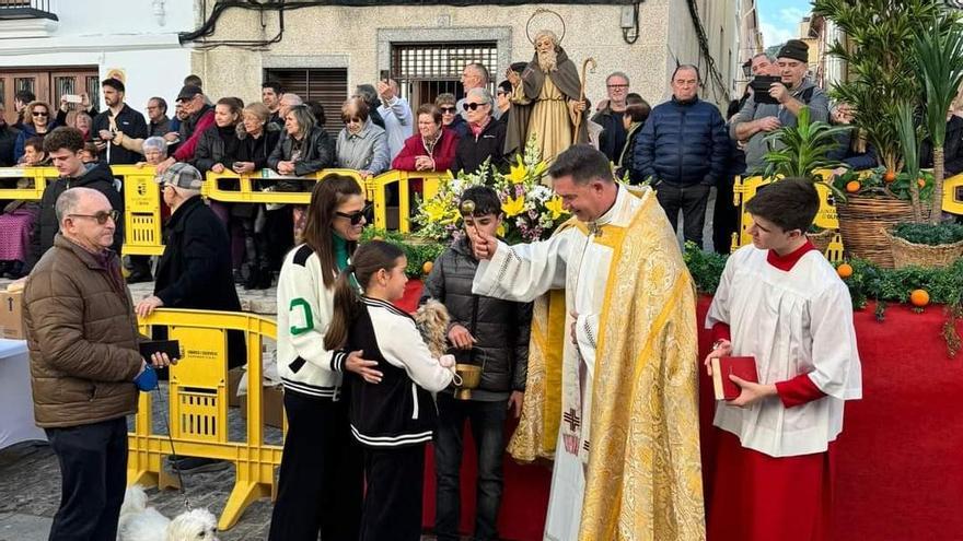 La bendición de los animales pone punto y final a Sant Antoni en Oliva