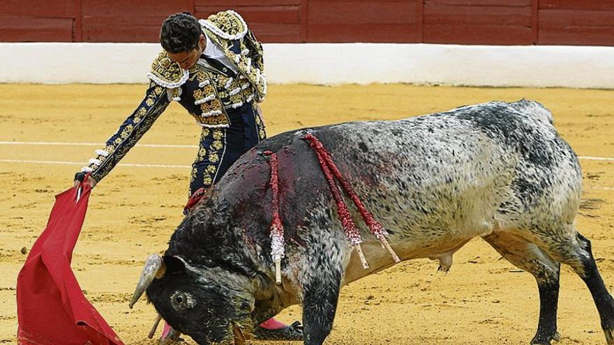 Posada de Maravillas afronta hoy su doctorado en las Ventas