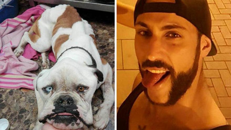 Un exconcursante de ´Myhyv´, acusado de dejar morir de hambre a su perro