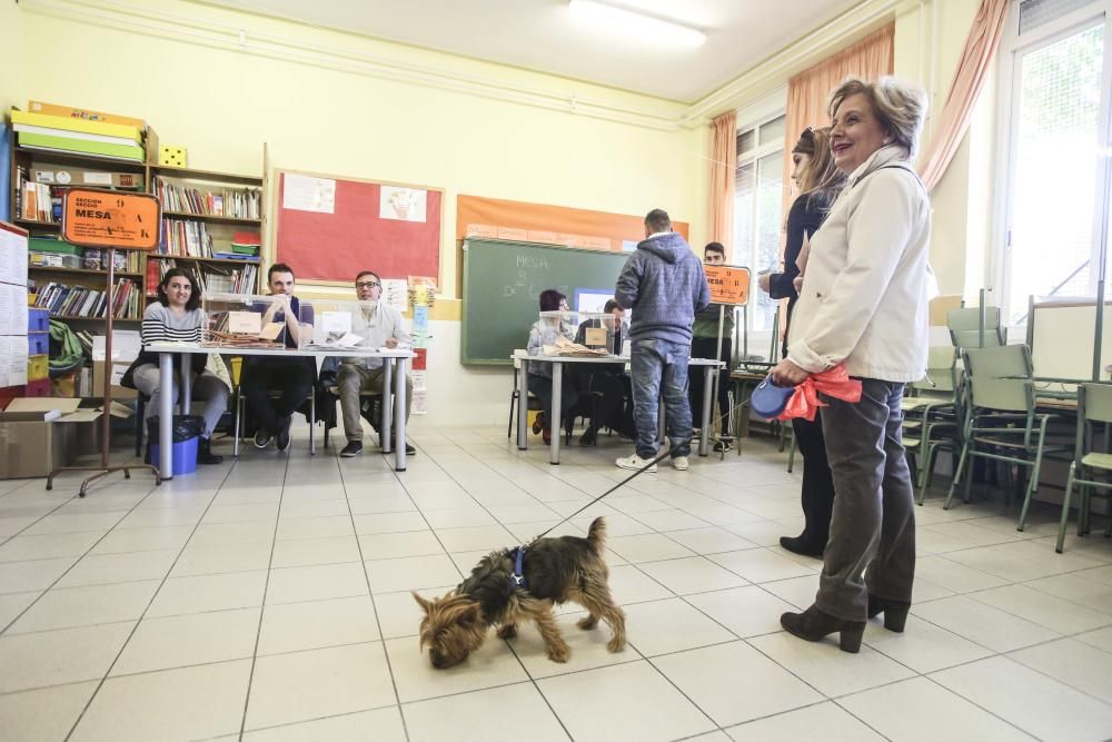 Elecciones generales 10-N: Jornada electoral en Alicante