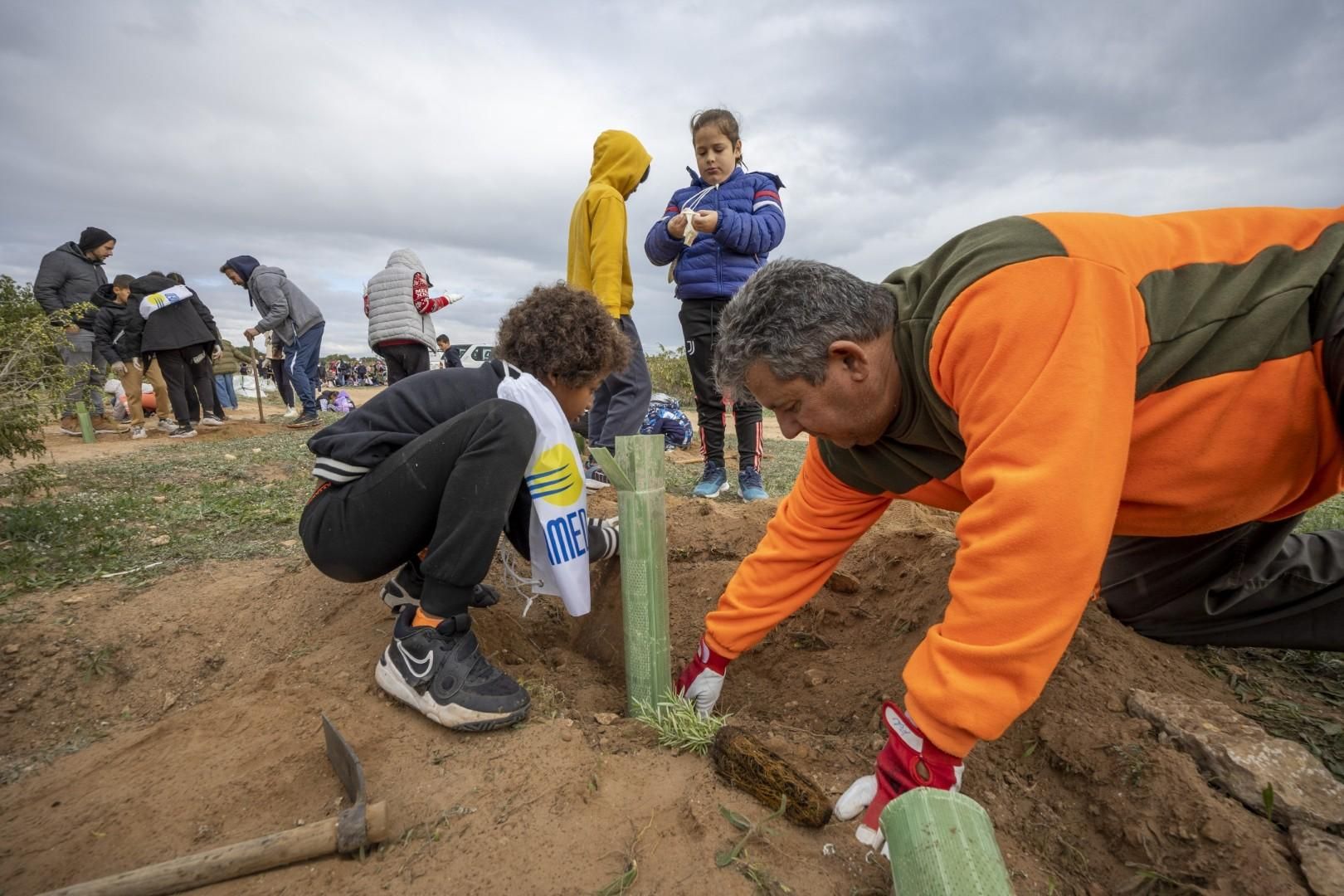Jornada escolar plantación de especies autóctonas junto al parque natural de las lagunas de Torrevieja y La Mata