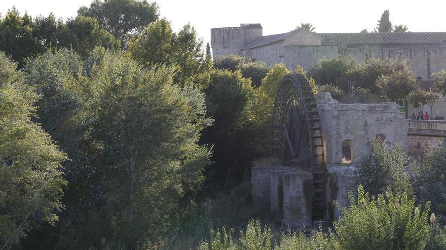 Un cuarto de siglo de los Sotos de la Albolafia como Monumento Natural: "Son el pulmón de Córdoba"