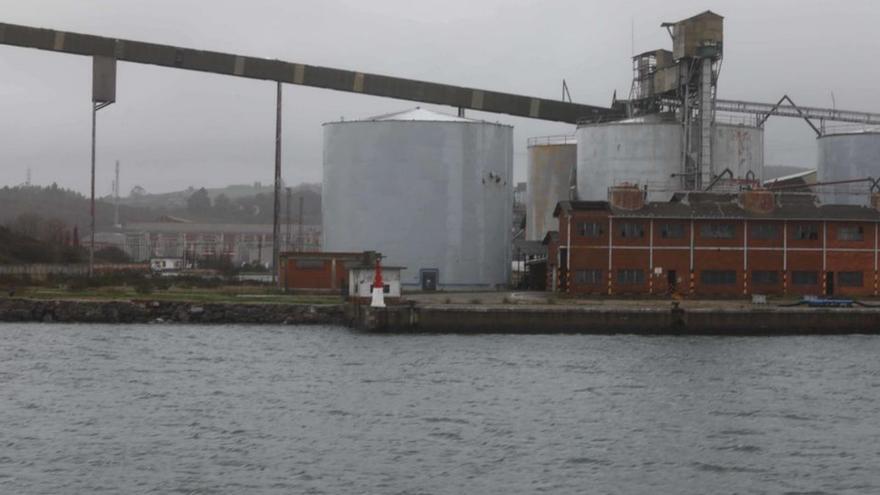 Muelle y escollera de la antigua Alcoa, ahora de Windar. | Mara Villamuza