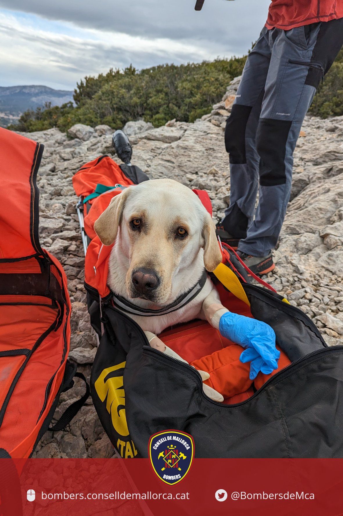 Rescatadas dos personas y un perro labrador en la Serra de Tramuntana