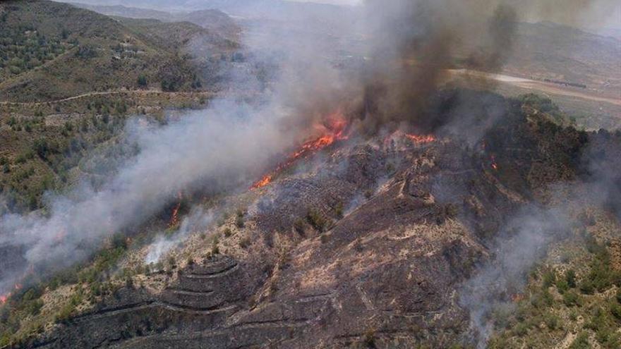 La época de peligro de incendios forestales en Extremadura comienza el 1 de junio