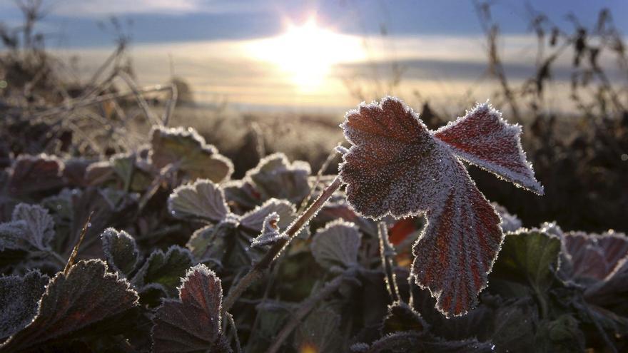 La temperatura más baja de Castilla y León esta madrugada se ha registrado en un pueblo de Zamora