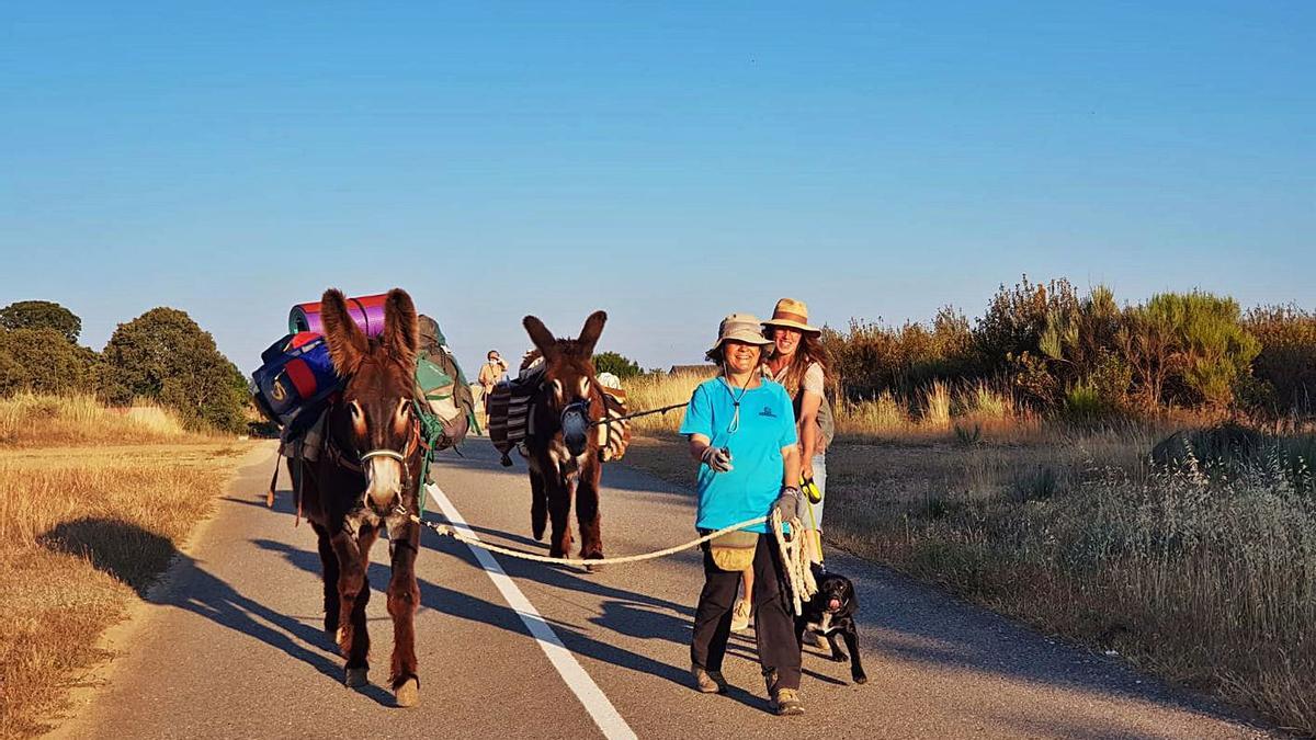 Avileno y Pelayo, acompañados de sus cuidadoras, en su recorrido por Sanabria. | A. S.